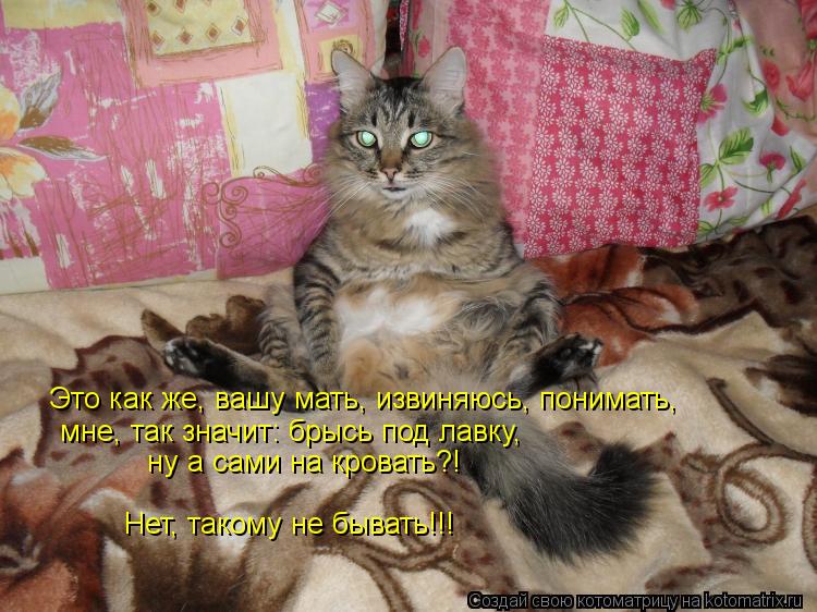 Котоматрица: Это как же, вашу мать, извиняюсь, понимать, мне, так значит: брысь под лавку, ну а сами на кровать?! Нет, такому не бывать!!!
