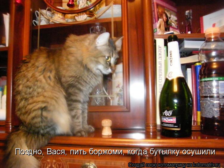 Котоматрица: Поздно, Вася, пить боржоми, когда бутылку осушили