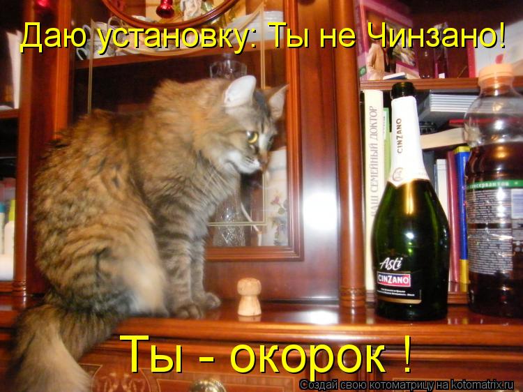 Котоматрица: Даю установку: Ты не Чинзано! Ты - окорок !