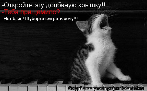 Котоматрица: -Откройте эту долбаную крышку!!  -Тебя прищемило? -Нет блин! Шуберта сыграть хочу!!!
