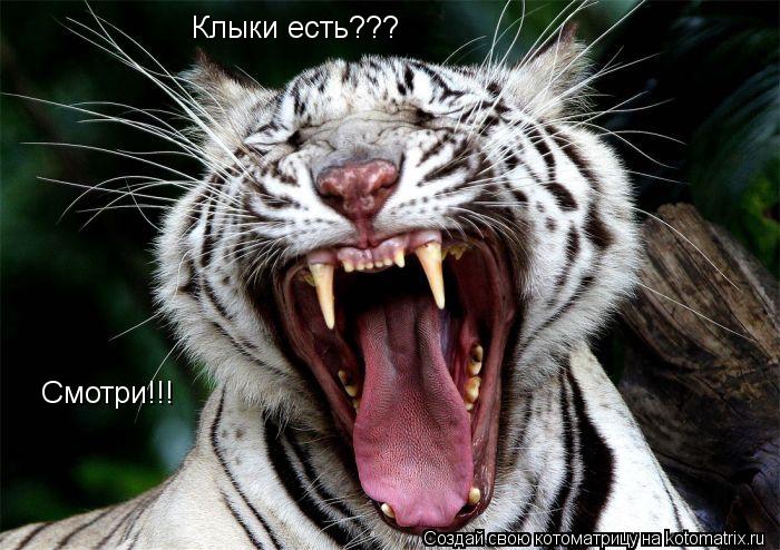 Котоматрица: Клыки есть??? Смотри!!!