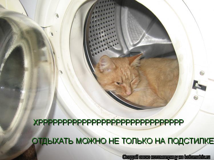 Котоматрица: ОТДЫХАТЬ МОЖНО НЕ ТОЛЬКО НА ПОДСТИЛКЕ........... ХРРРРРРРРРРРРРРРРРРРРРРРРРРРРРР