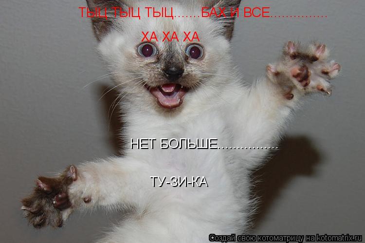 Котоматрица: ХА ХА ХА ТЫЦ ТЫЦ ТЫЦ.......БАХ И ВСЕ............... НЕТ БОЛЬШЕ................ ТУ-ЗИ-КА