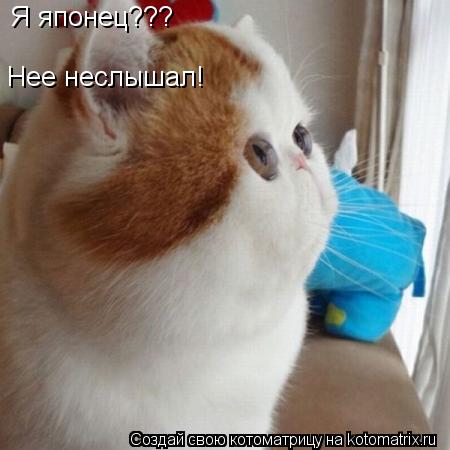 Котоматрица: Я японец??? Нее неслышал!