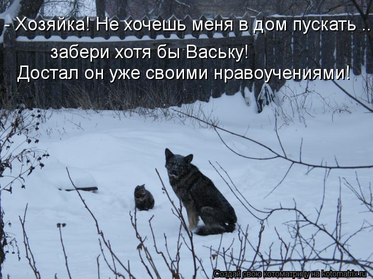 - Хозяйка! Не хочешь меня в дом пускать ..... забери хотя бы Ваську! Достал он уже своими нравоучени... Котоматрица: - Хозяйка! Не хочешь меня в дом пускать ..... забери хотя бы Ваську! Достал он уже своими нравоучениями!