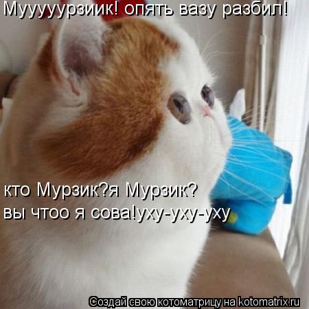 Котоматрица: Мууууурзиик! опять вазу разбил! кто Мурзик?я Мурзик? вы чтоо я сова!уху-уху-уху