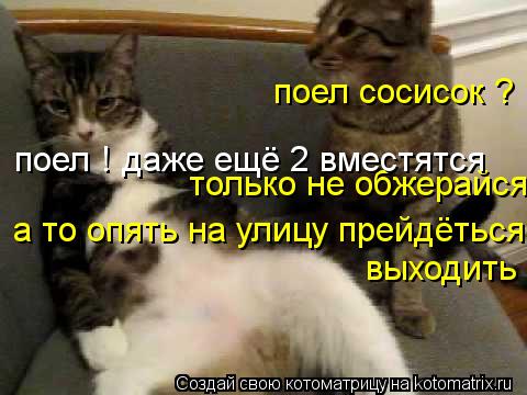 Котоматрица: поел сосисок ? только не обжерайся поел ! даже ещё 2 вместятся а то опять на улицу прейдёться   выходить
