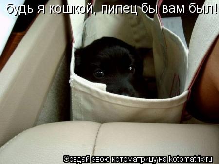 Котоматрица: будь я кошкой, пипец бы вам был!