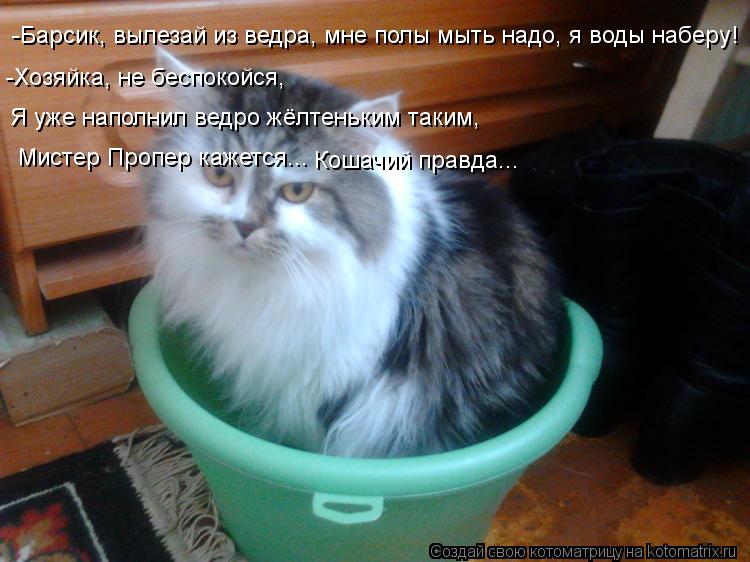 Котоматрица: -Барсик, вылезай из ведра, мне полы мыть надо, я воды наберу! -Хозяйка, не беспокойся, Я уже наполнил ведро жёлтеньким таким,  Мистер Пропер ка