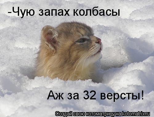 Котоматрица: -Чую запах колбасы Аж за 32 версты!