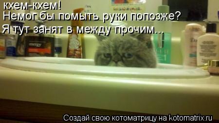 Котоматрица: кхем-кхем! Немог бы помыть руки попозже? Я тут занят в между прочим...