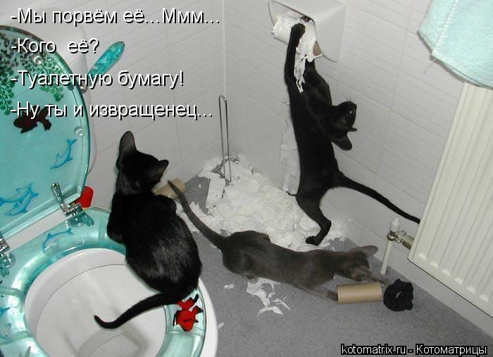 Котоматрица: -Мы порвём её...Ммм... -Кого  её? -Туалетную бумагу! -Ну ты и извращенец...