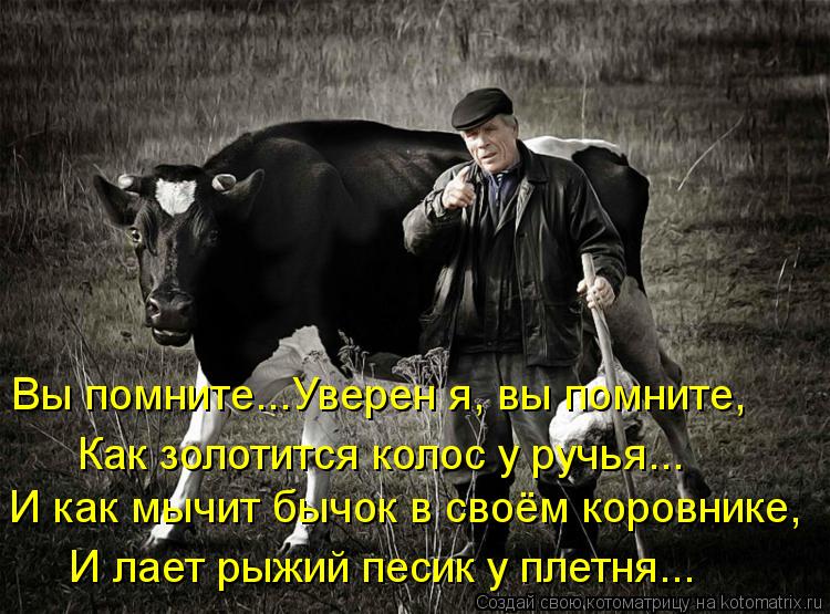 Как золотится колос у ручья... И как мычит бычок в своём коровнике, И лает рыжий песик у плетня... Вы... Котоматрица: Как золотится колос у ручья... И как мычит бычок в своём коровнике, И лает рыжий песик у плетня... Вы помните...Уверен я, вы помните,