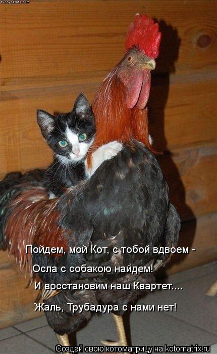 Котоматрица: Пойдем, мой Кот, с тобой вдвоем - Осла с собакою найдем! И восстановим наш Квартет....  Жаль, Трубадура с нами нет!