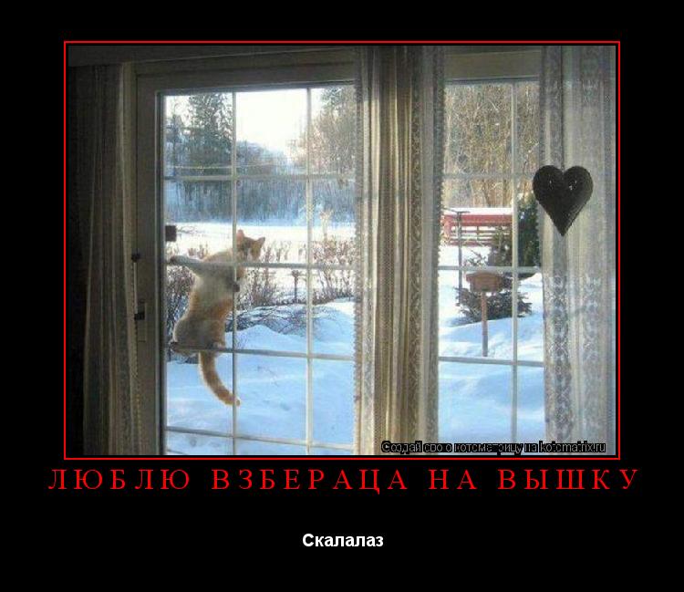 Котоматрица: Люблю взбераца на вышку Скалалаз