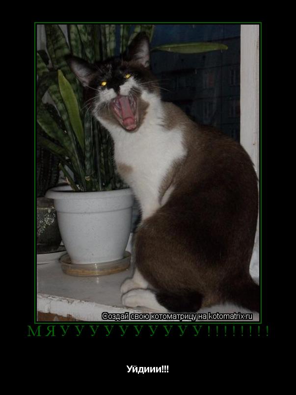 Котоматрица: Мяуууууууууу!!!!!!!! Уйдиии!!!