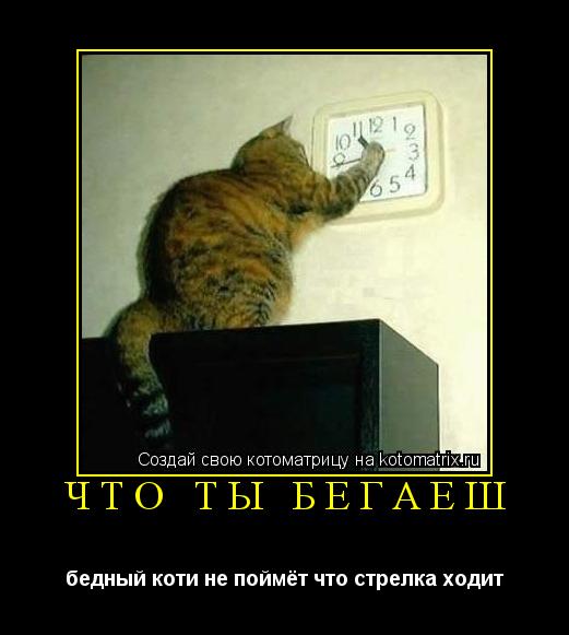 Котоматрица: что ты бегаеш бедный коти не поймёт что стрелка ходит