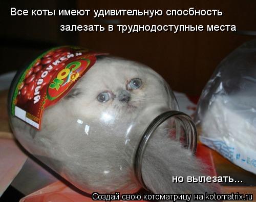 Котоматрица: Все коты имеют удивительную спосбность залезать в труднодоступные места но вылезать...