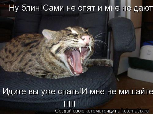 Котоматрица: Ну блин!  Сами не спят и мне не дают! Идите вы уже спать!И мне не мишайте! !!!!!