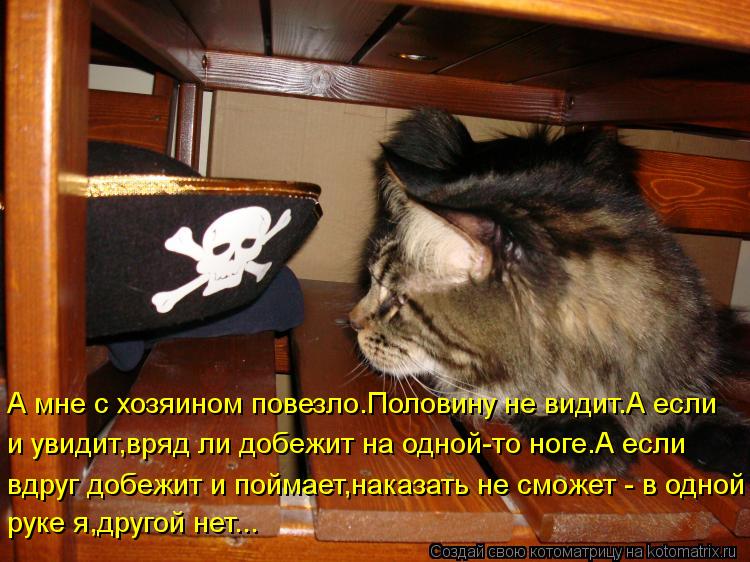 А мне с хозяином повезло.Половину не видит.А если и увидит,вряд ли добежит на одной-то ноге.А если в... Котоматрица: А мне с хозяином повезло.Половину не видит.А если и увидит,вряд ли добежит на одной-то ноге.А если вдруг добежит и поймает,наказать не сможе