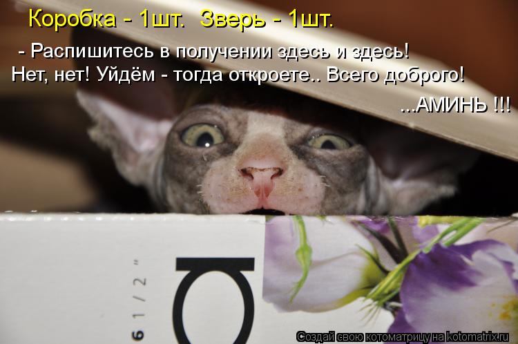 Котоматрица: Коробка - 1шт.  Зверь - 1шт. - Распишитесь в получении здесь и здесь! Нет, нет! Уйдём - тогда откроете.. Всего доброго!  ...АМИНЬ !!!