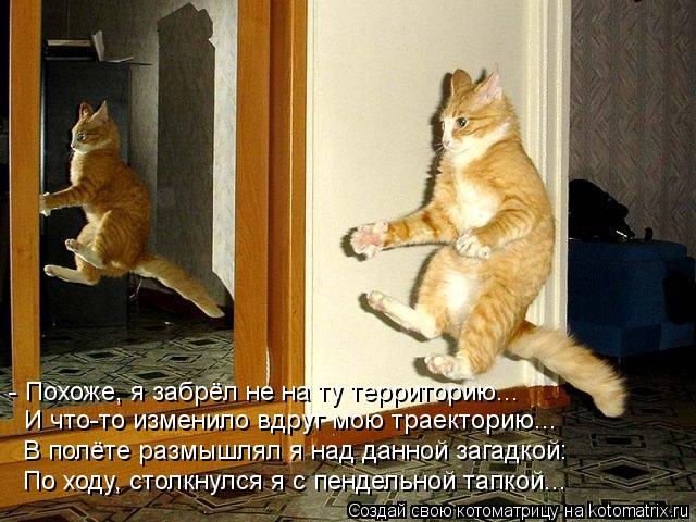 Котоматрица: - Похоже, я забрёл не на ту территорию... И что-то изменило вдруг мою траекторию... В полёте размышлял я над данной загадкой: По ходу, столкнулс