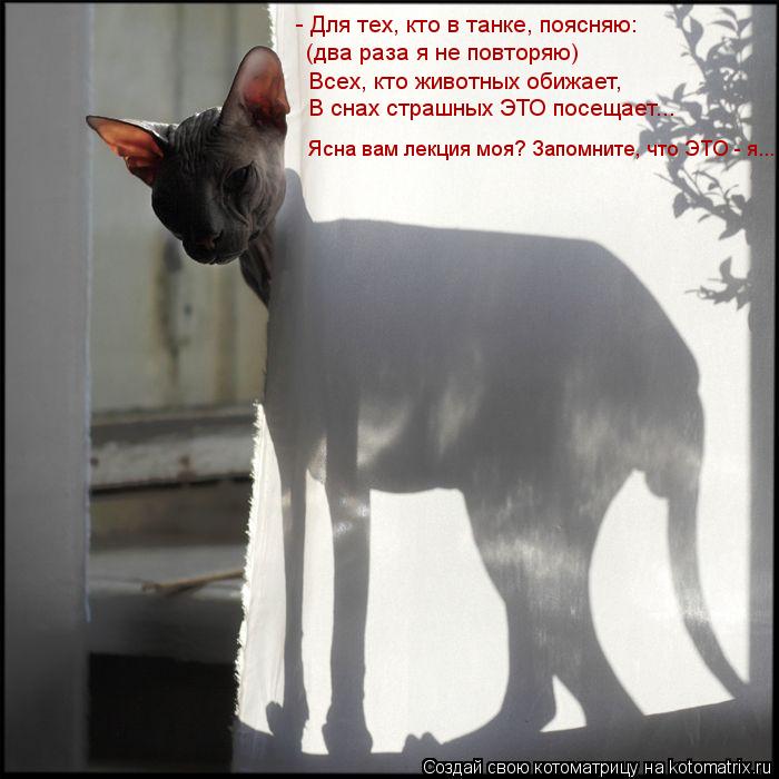Котоматрица: - Для тех, кто в танке, поясняю: (два раза я не повторяю) Всех, кто животных обижает, В снах страшных ЭТО посещает... Ясна вам лекция моя? Запомни