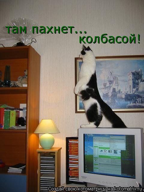 Котоматрица: там пахнет... колбасой!