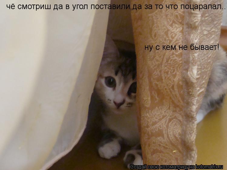 Котоматрица: чё смотриш да в угол поставили,да за то что поцарапал... ну с кем не бывает! ну с кем не бывает!