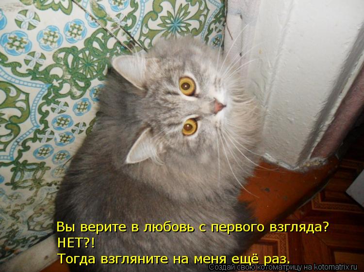 Котоматрица: Тогда взгляните на меня ещё раз. НЕТ?! Вы верите в любовь с первого взгляда?