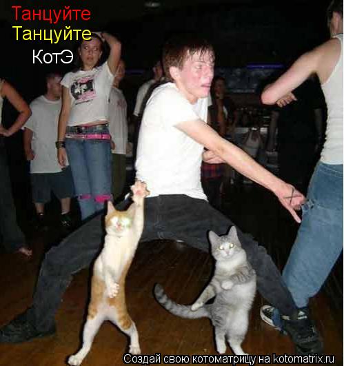 Котоматрица: Танцуйте  Танцуйте  КотЭ