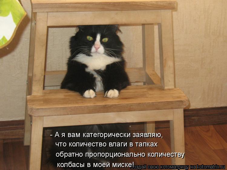 Котоматрица: - А я вам категорически заявляю, что количество влаги в тапках обратно пропорционально количеству колбасы в моей миске!
