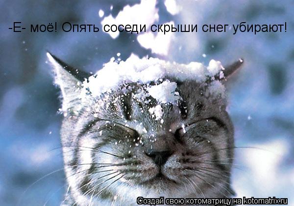 Котоматрица: -Е- моё! Опять соседи скрыши снег убирают!