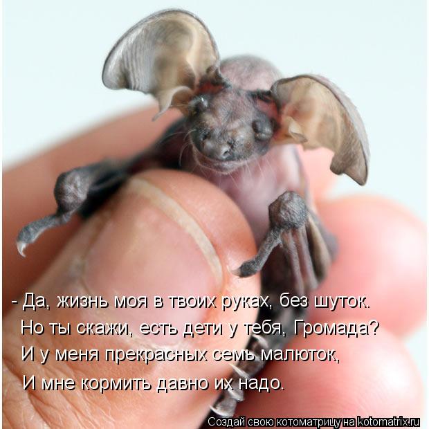 Котоматрица: - Да, жизнь моя в твоих руках, без шуток. Но ты скажи, есть дети у тебя, Громада? И у меня прекрасных семь малюток, И мне кормить давно их надо.