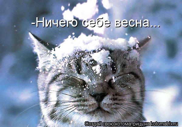 Котоматрица: -Ничего себе весна...