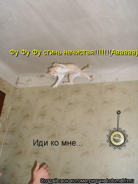 Котоматрица: Иди ко мне... Фу Фу Фу сгинь нечистая!!!!!!(Аааааа)