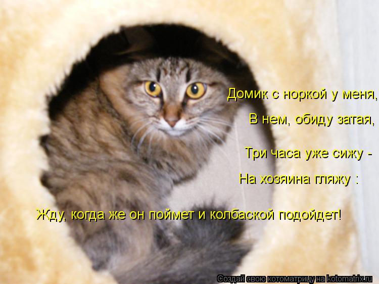 Котоматрица: Жду, когда же он поймет и колбаской подойдет! На хозяина гляжу : Три часа уже сижу - В нем, обиду затая, Домик с норкой у меня,
