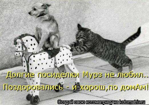 Котоматрица: Долгие посиделки Мурз не любил.. Поздоровались - и хорош,по домАм!