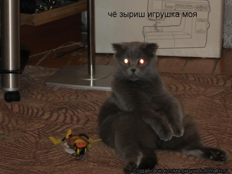 Котоматрица: чё зыриш игрушка моя