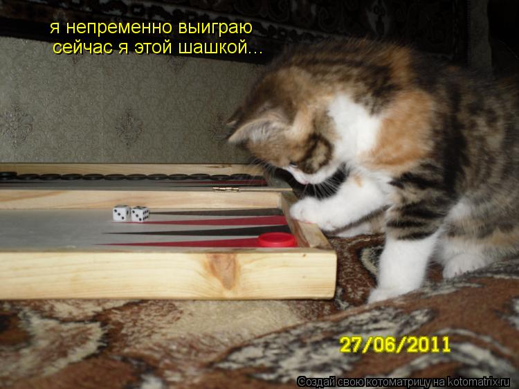 Котоматрица: я непременно выиграю сейчас я этой шашкой...