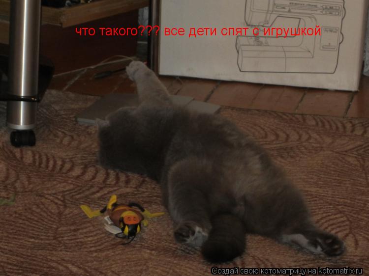Котоматрица: что такого??? все дети спят с игрушкой