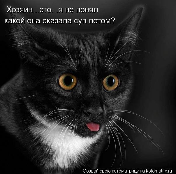 Котоматрица: какой она сказала суп потом? Хозяин...это...я не понял