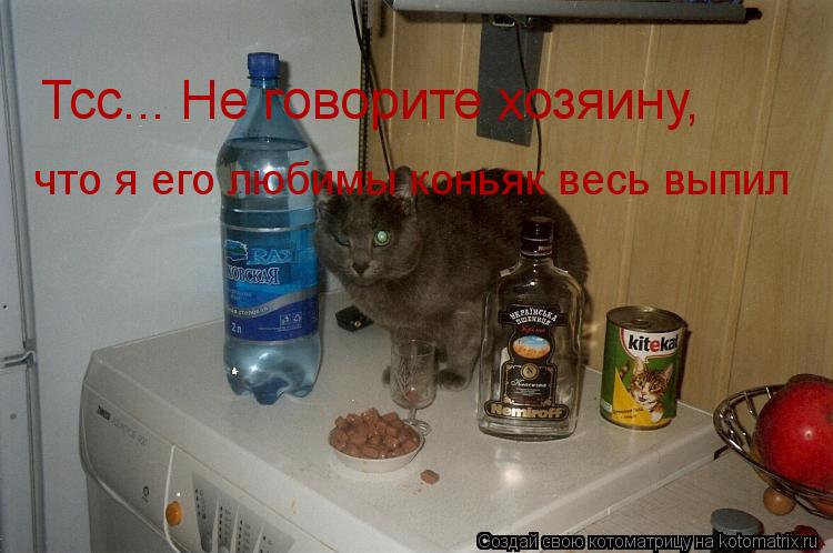 Котоматрица: Тсс... Не говорите хозяину, что я его любимы коньяк весь выпил