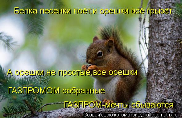 Белка песенки поёт,и орешки всё грызёт А орешки не простые,все орешки ГАЗПРОМОМ собранные ГАЗПРОМ-меч... Котоматрица: Белка песенки поёт,и орешки всё грызёт А орешки не простые,все орешки ГАЗПРОМОМ собранные ГАЗПРОМ-мечты сбываются