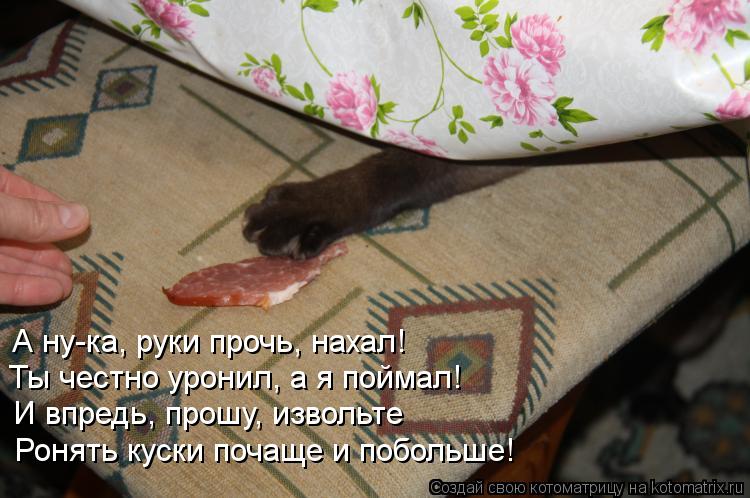 А ну-ка, руки прочь, нахал! Ты честно уронил, а я поймал! И впредь, прошу, извольте Ронять куски поча... Котоматрица: А ну-ка, руки прочь, нахал! Ты честно уронил, а я поймал! И впредь, прошу, извольте Ронять куски почаще и побольше!