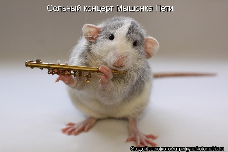 Котоматрица: Сольный концерт Мышонка Пети
