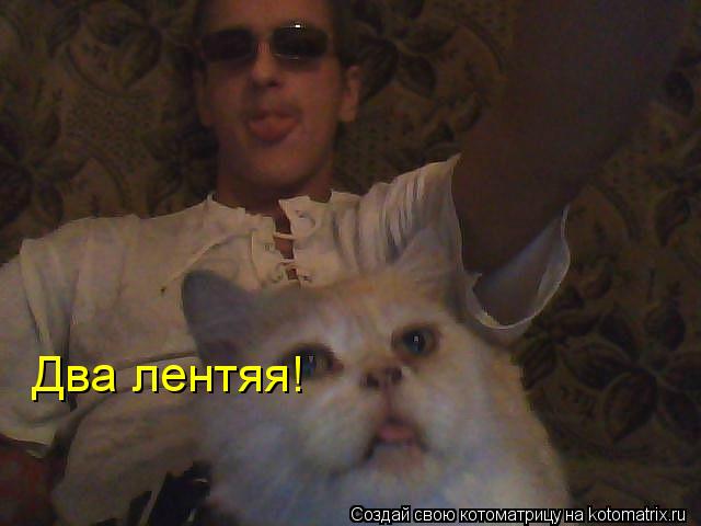 Котоматрица: Два лентяя!