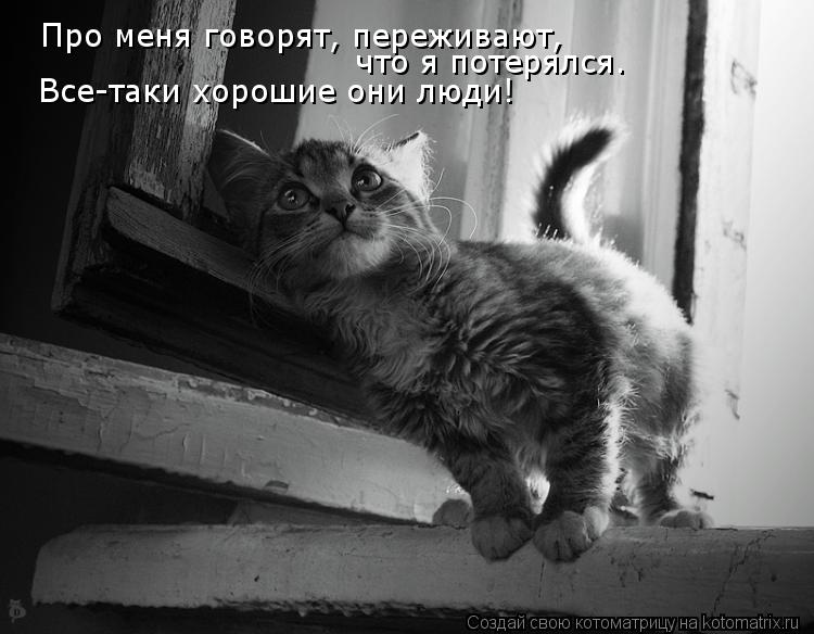Котоматрица: Про меня говорят, переживают,  что я потерялся.  Все-таки хорошие они люди!