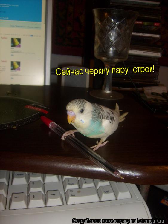 Котоматрица: Сейчас черкну пару  строк!