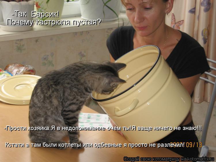 Котоматрица: -Так  Барсик! Почему кастрюля пустая? -Прости хозяйка.Я в недопонимание очём ты!Я ваще ничего не знаю!!! Кстати а там были котлеты или одбевные